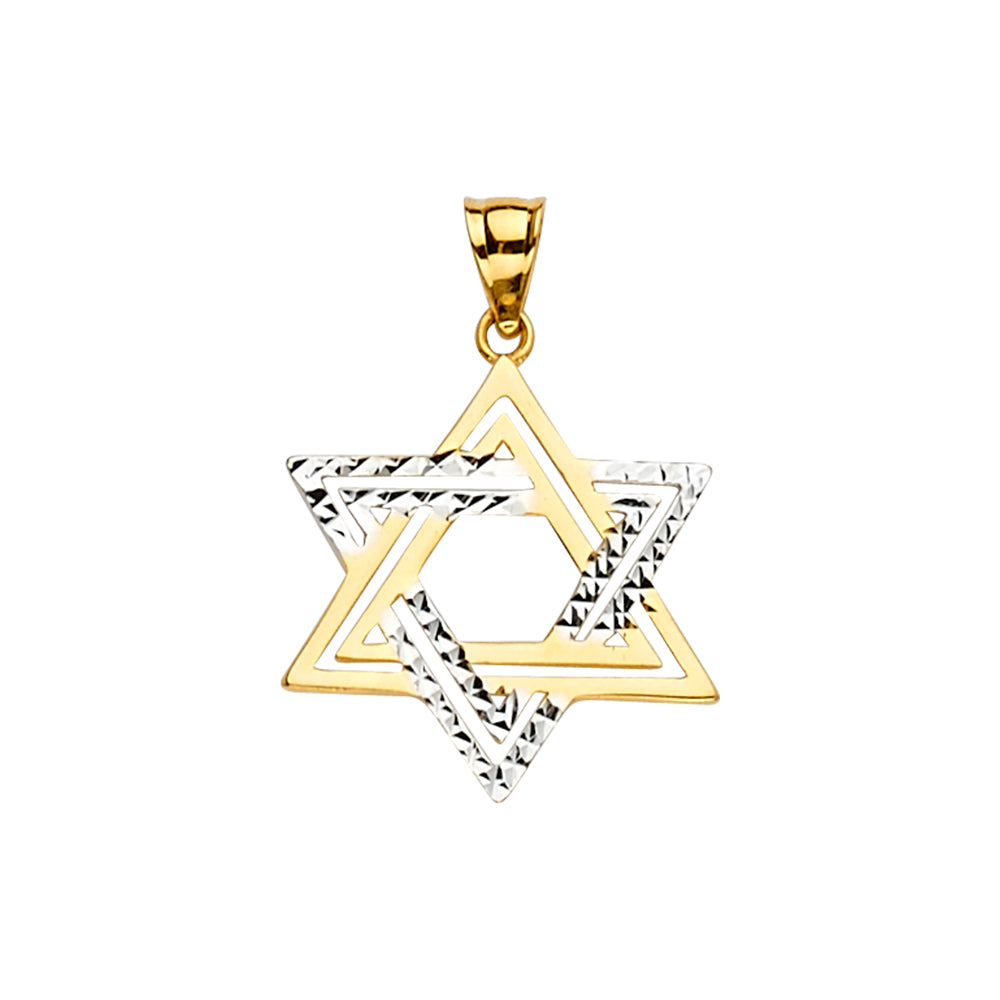 14K 2Tone Star of David Pendant