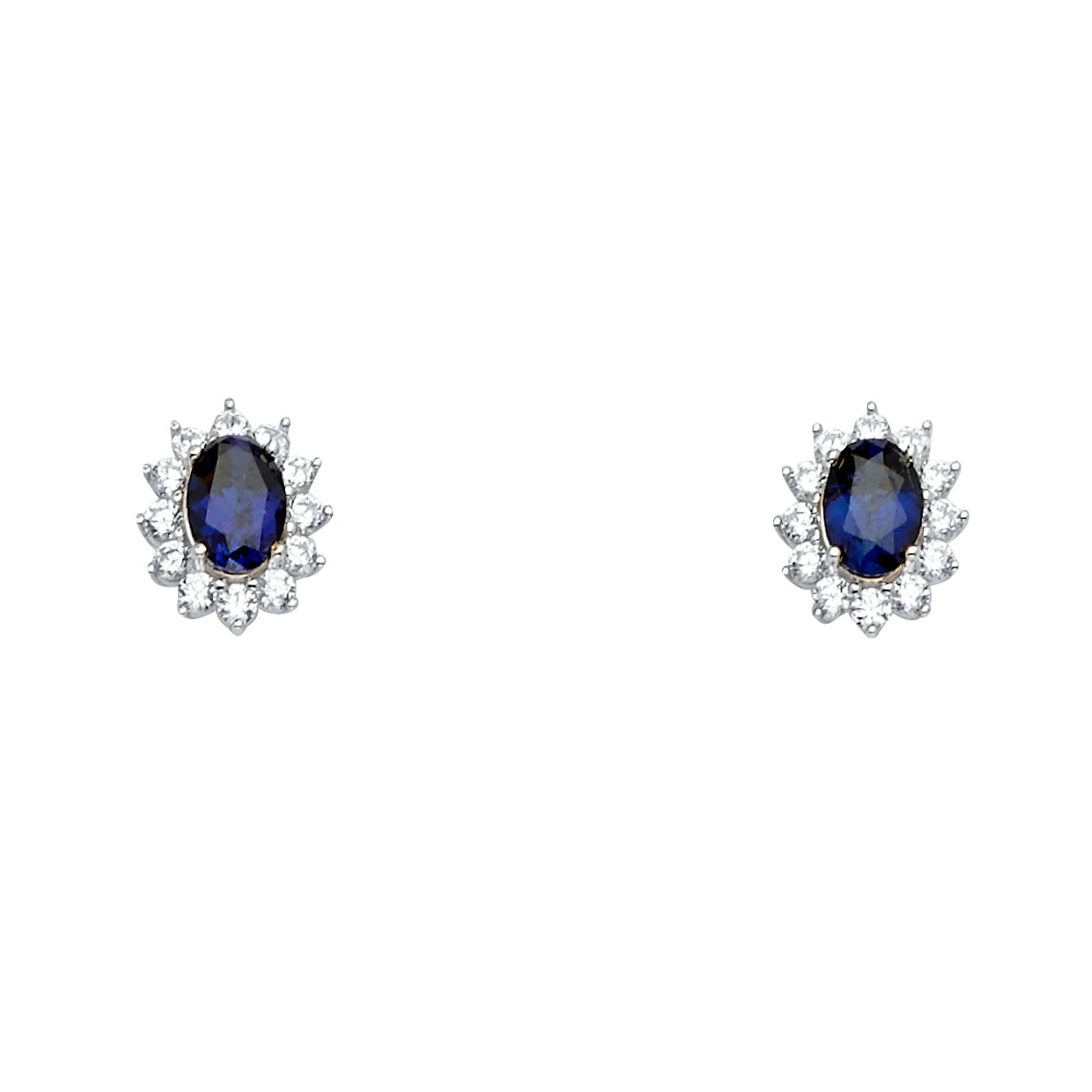 14KW Blue CZ Earring / Set